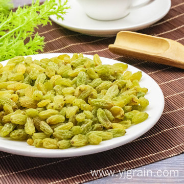 Wholesale Agriculture Products High Quality raisins